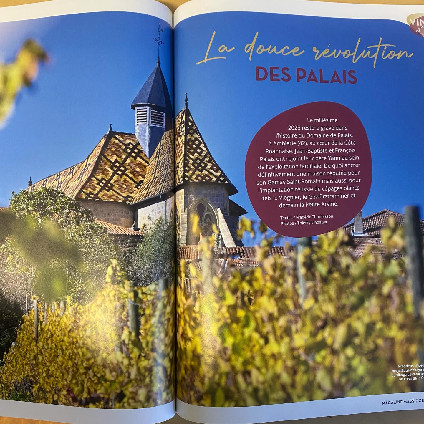 Très bel article sur le domaine paru dans le magazine Massif Central.
Un grand merci pour cette mise en avant qui valorise le travail effectué depuis toutes ces années !!
#massifcentral #massifcentralmagazine #coteroannaise #gamaysaintromain #loirevolcanique