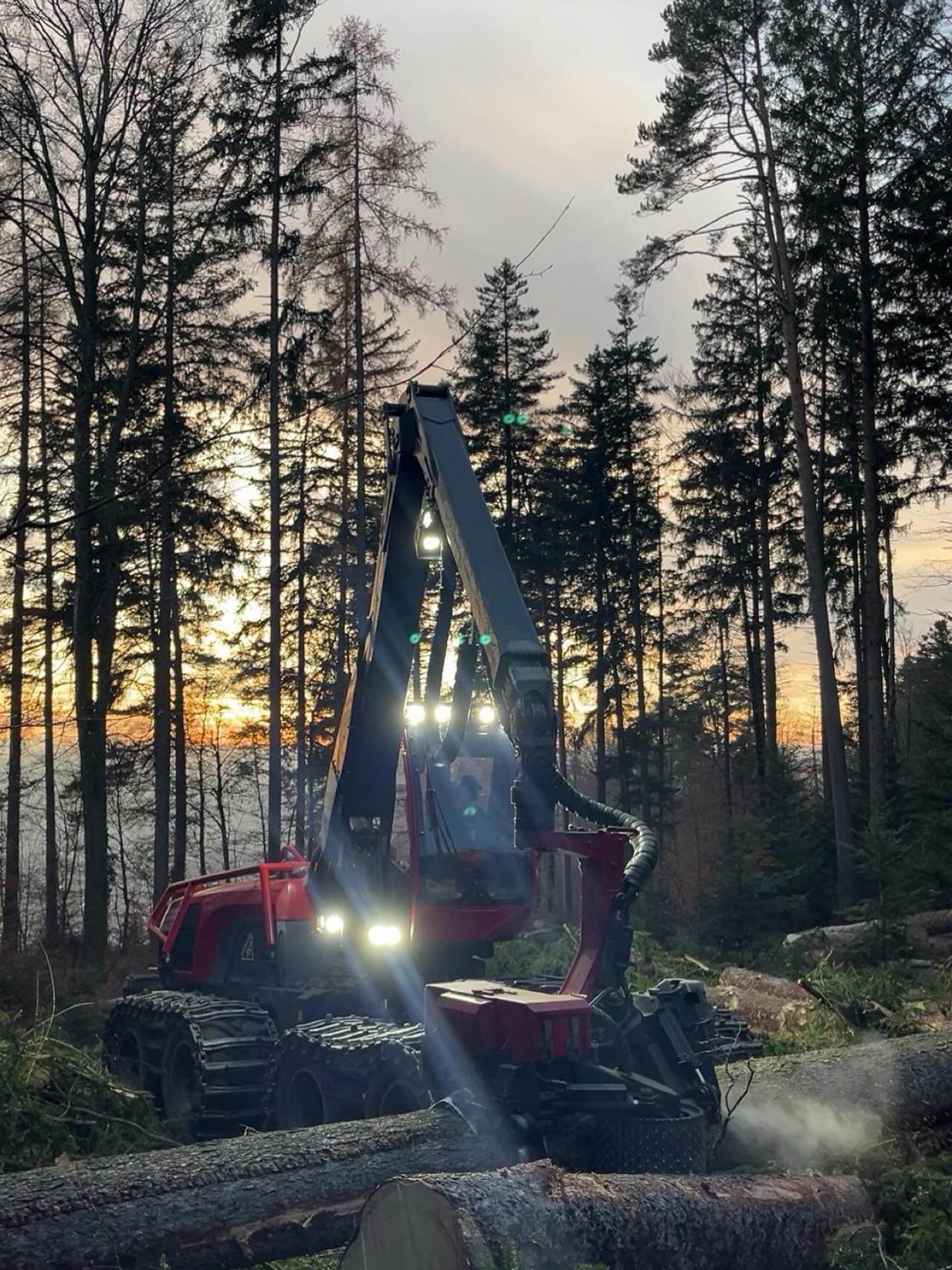 Einen schönen Freitag wünschen wir euch👋#komatsu931xc#komatsu#waldfotografie#waldarbeit#harvesting#woodworking#woodwork#forestmachinemagazine#forestmaschine#forestharvest