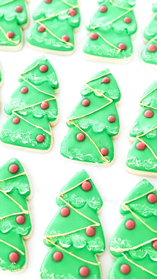 Oh Christmas trees oh Christmas trees your leaves are so unchanging. Especially during a #floridachristmas