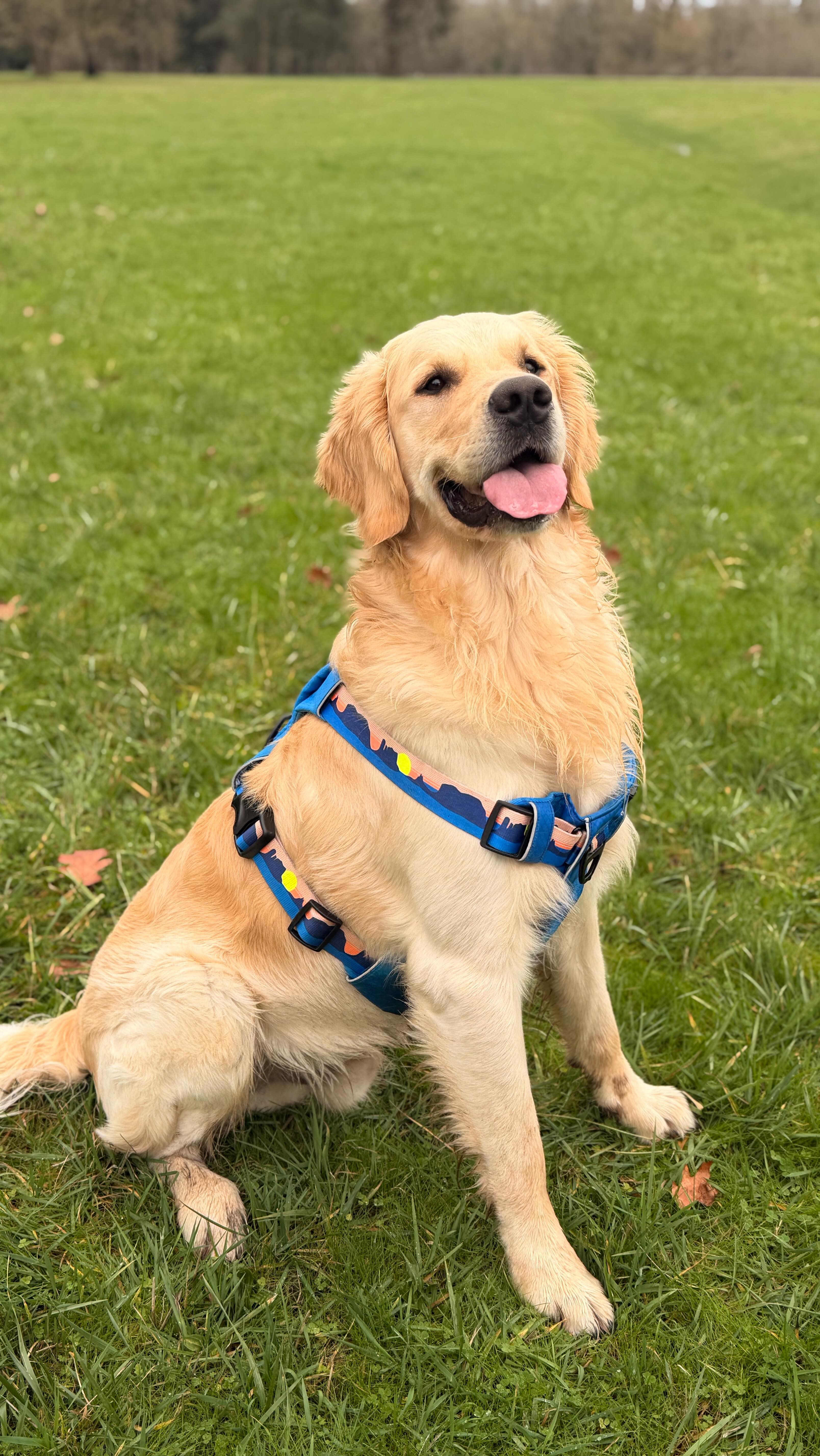 Portofino was on his mind 😌