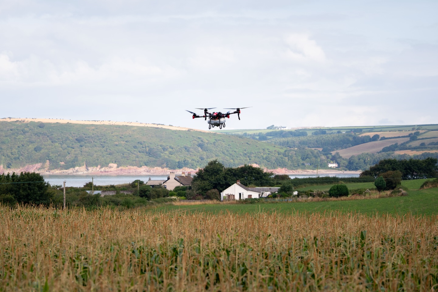 Take us back to those summer days 🌾 ☀️ 🚁
Ripping over fields of maize with our spray drones applying Foliar N.
Some of our clients boasted 21-22t an acre!
What does this mean for our customers?
• PROTEIN dense feed for their dairy herds 🐮
• MORE milk 🥛
• BIGGER returns 💰
• LESS money spent buying feed in - essentially productivity of the farm is HIGHER!
With margins being tighter than ever, applying nitrogen at critical stages within the crops growth cycle is imperative.
HighVantage is a family run business with a background in agriculture.
We work alongside independent Agronomists to ensure we deliver a professional service to our customers.
A one stop shop for drone application, seed, and chemical.
2026 is set to be a BIG year.
If you are interested in our services, get in touch and get booked in! 🚁 🐄 🌾