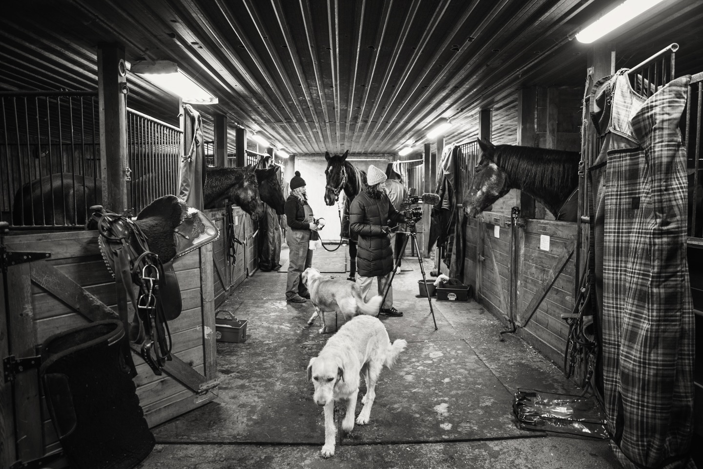 When our friend @natalierberger comes to visit 📸❄️
A few behind the scenes snaps from our very busy wintry afternoon 💙💛
#tufftherapeuticridingfoundation #tufftherapeuticriding #busybarn