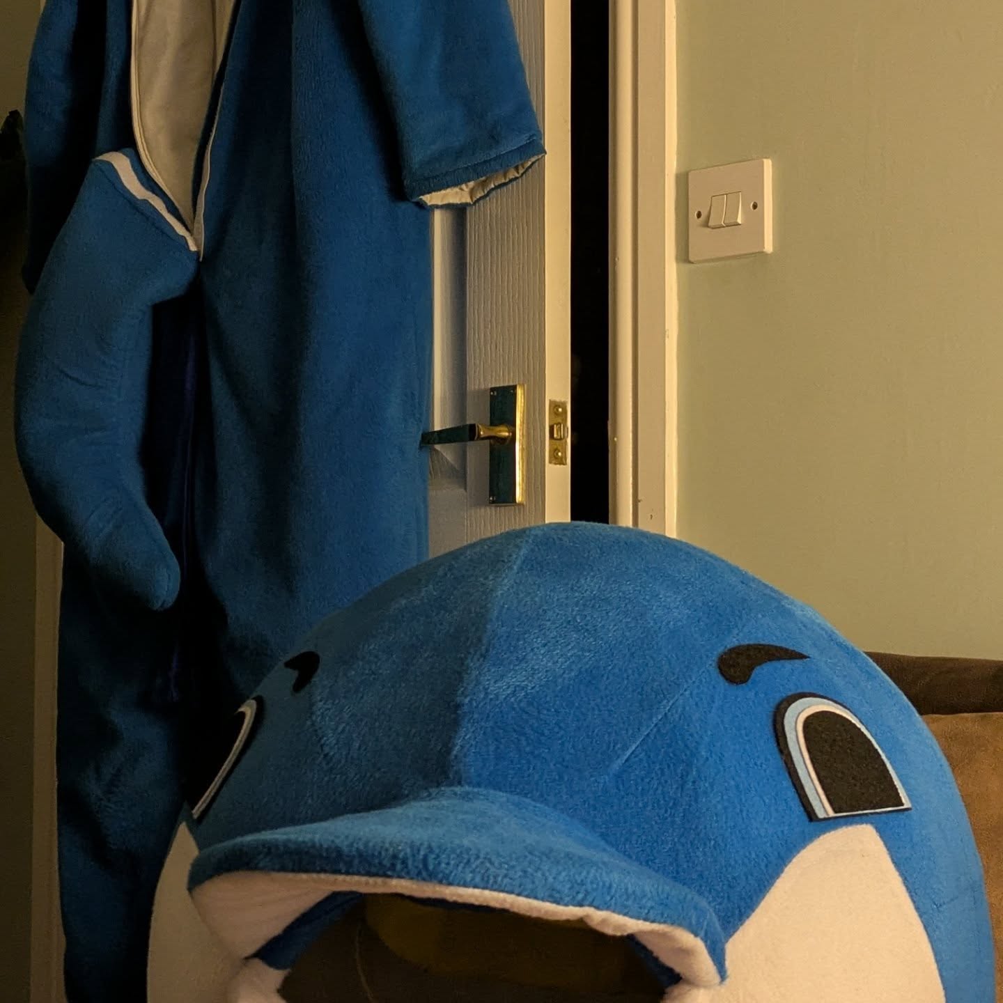 It's cool and dry.
Perfect whether to take the dolphin out for a @parkrunuk 🐬🏃😀