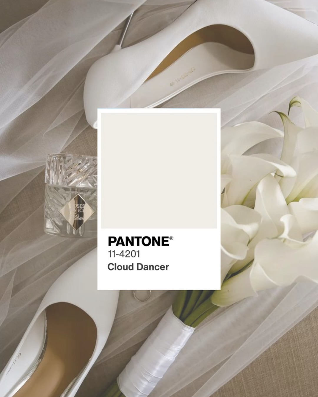 Pantone just announced the Colour of the Year for 2026 â Cloud Dancer đ¤
A soft, creamy white that feels calm, elegant and effortlessly bridal đ°đźââď¸
#vowsandvisuals #pantone2026 #clouddancer #weddingcolourpalette #modernbride #bridetobe2026 #weddingplanningideas #weddinginspo