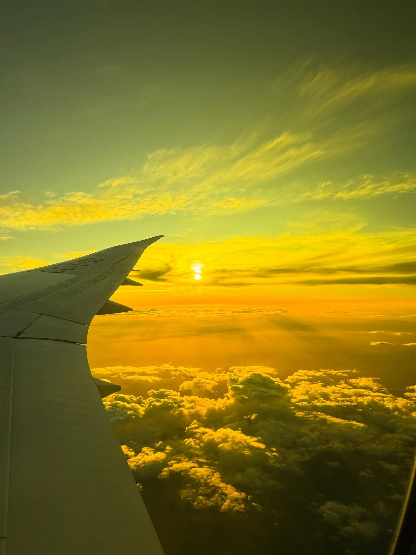 Thank you for your support through another beautiful year!
I’m off to Brazil to see my family and friends and will be back to work from 16 January.
Wishing you an amazing holiday season.
I’ll see you in 2026 ✨