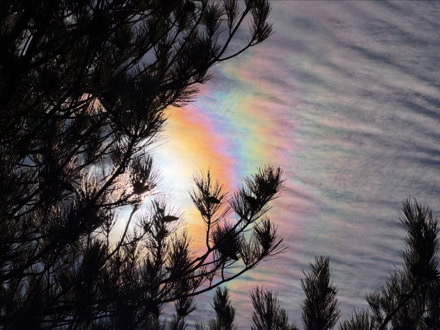 Essere gentili ed avere coraggio
Cose belle! ✨