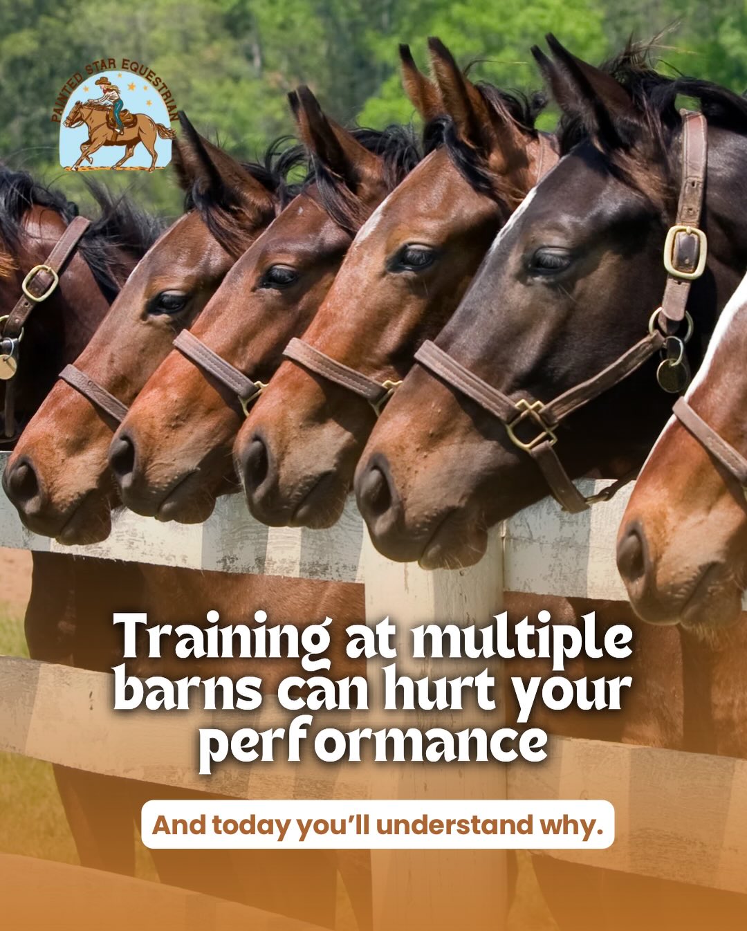 Many people believe that training at multiple barns “opens your mind,” but in practice… it can actually hurt your performance — a lot.
In riding, consistency is what creates confidence — for both horse and rider.
Each instructor has their own way of teaching: their cues, their timing, their rhythm, and their expectations. When you switch between methods, the horse doesn’t know which response is correct — and neither do you.
The result is:
❌ loss of progress
❌ a confused horse
❌ misaligned posture
❌ contradictory cues
❌ difficulty building solid habits
Real progress in the saddle comes from repetition, clarity, and alignment.
That’s why choosing a continuous, consistent training program is the key to improving with safety and quality.
🌿 Less noise. More focus. More growth.
#PaintedStarEquestrian #RidingTips #HorseTraining #WesternRiding #Gymkhana #BarrelRacing #HorseConnection #EquestrianLife