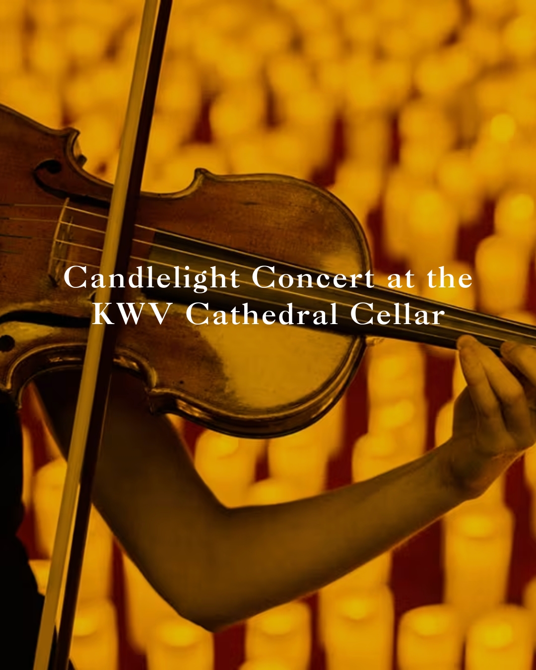 KWV | Candlelight Concert in the Cathedral Cellar on the 13th of December
Experience Coldplay’s greatest hits performed by a string quartet under the glow of hundreds of candles at Cathedral Cellar.
Enjoy an intimate and magical evening of music in a stunning setting, perfect for getting into the festive spirit. Don’t miss this unique pre-Christmas experiences - it's one of our most epic ways to spend an evening
#WelcomeToOurHome #PaarlWineRoute #PaarlByCandleLight