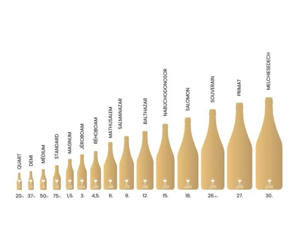 13° Giorno di Avvento
I grandi formati: quando la dimensione diventa qualità
I grandi formati non sono solo scenografici: incidono in modo concreto sull’evoluzione del vino. Il rapporto più favorevole tra volume del vino e ossigeno rallenta l’invecchiamento, rendendolo più stabile e armonico. A questo si aggiungono una maggiore massa termica e una migliore stabilità aromatica.
Nei grandi formati, a parità di vino e annata, il profilo risulta spesso più integro rispetto alla bottiglia da 0,75 l, grazie a dinamiche fisiche e chimiche legate al volume, non solo al tappo.
Nei vini Metodo Classico l’effetto dei grandi formati è ancora più evidente per il diverso rapporto di contatto tra vino e lieviti durante l’affinamento.
All’aumentare del formato:
• i lieviti cedono aromi in modo più graduale
• assorbono alcuni composti aromatici in maniera diversa.
Rispetto ai formati piccoli (demi e bottiglia), i grandi formati mostrano note più evidenti di:
pietra focaia, grafite, polvere da sparo, legate all’autolisi dei lieviti e a una riduzione nobile più fine.
Più grande è, meglio è !
Nei Metodo Classico non è la magnum il formato “migliore” in assoluto:
più il formato è grande, più elevate sono le performance qualitative.
Con un’unica regola fondamentale:
berlo con le persone giuste 🍾
Vuoi la bottiglia perfetta per il tuo menù delle feste?
Scrivici! 👇
#vino #barrique #affinamento #winelover #wineexperience finewine degustazione winestory winepassion eleganza
AvventoDelGusto WinePairing HolidayDinner WineLovers Festività FineDining Brindisi