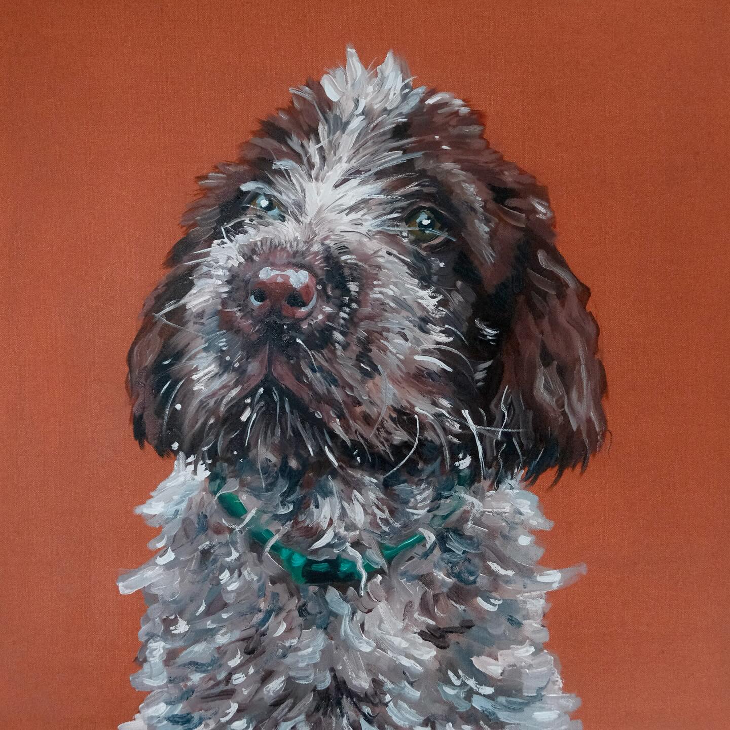 Bramble - 10 Weeks Old (2025) oil on canvas, 40x40cm
#oilpainting #dogpainting #painter #artist #cornwall