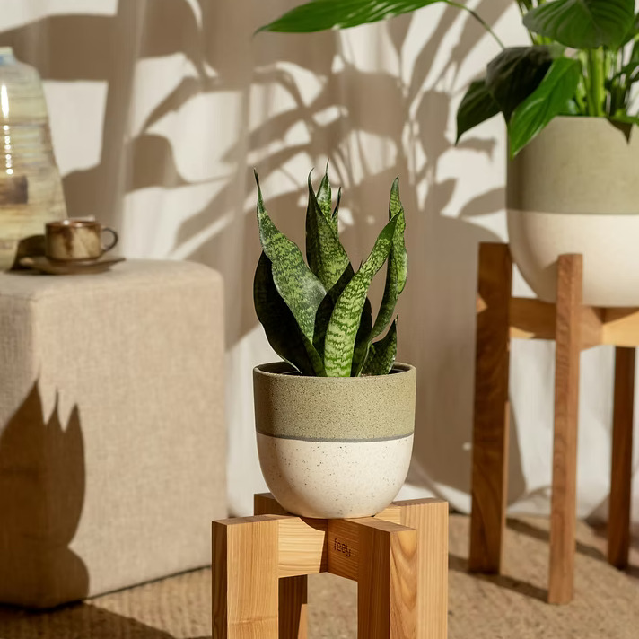 Biophilic design is more than a trend—it's a sustainable solution bridging our indoor spaces with the natural world. 🌿 It promotes well-being, reduces stress, and supports the environment by integrating green walls, natural light, and biomorphic designs into our homes and workplaces. Discover how to bring harmony into your space and our planet. #SustainableLiving #BiophilicDesign #ClimateAwareness #EcoFriendly #HealthySpaces