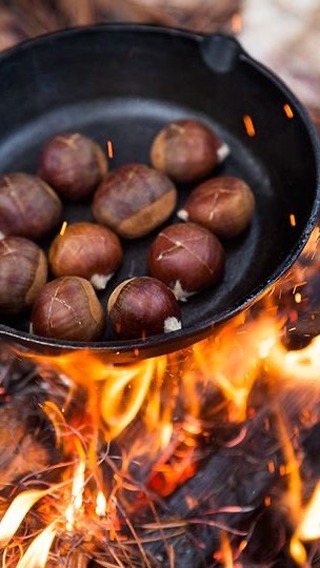 Open fire recipes coming soon โฆ ๐ชต๐ฅ