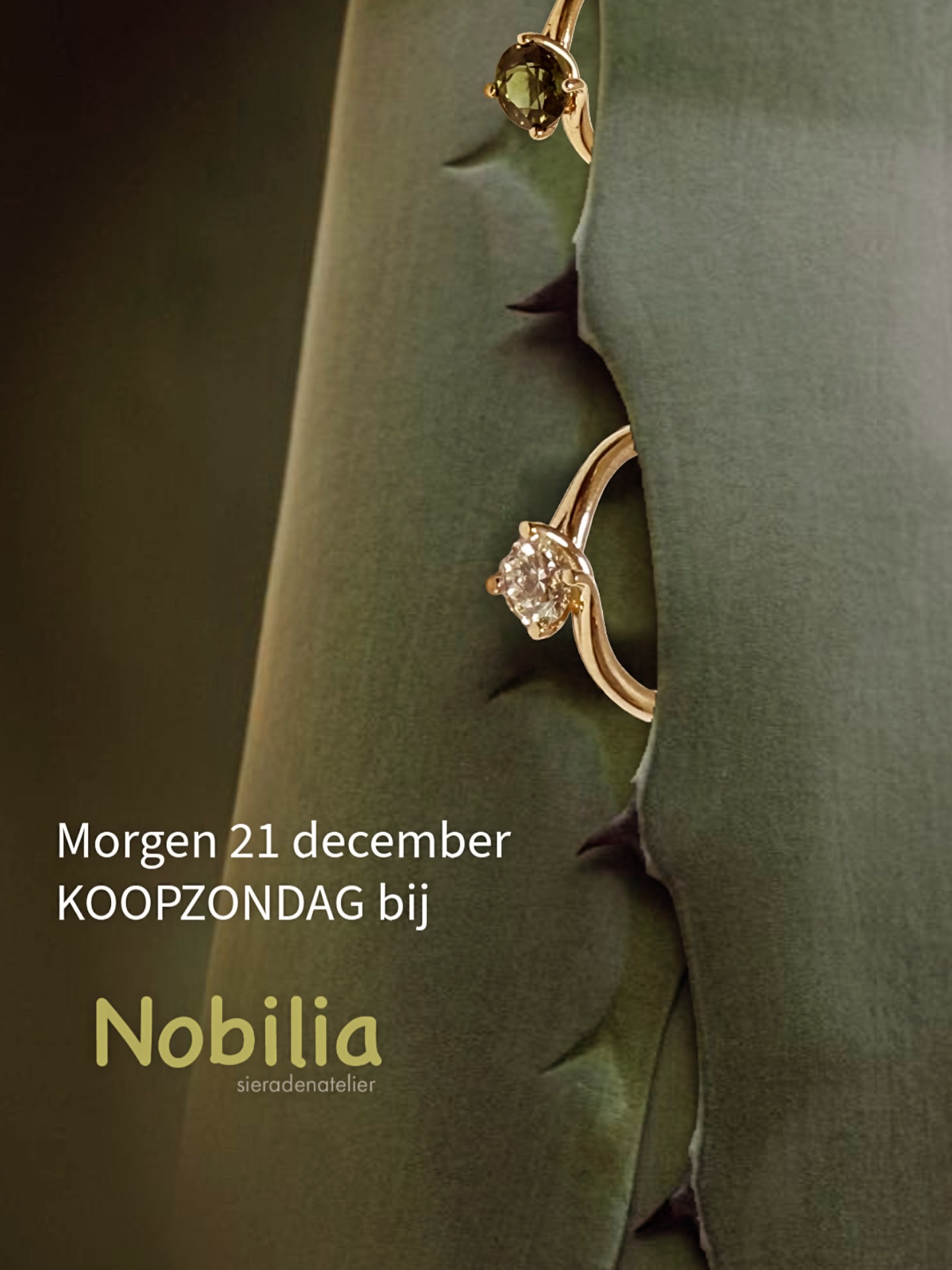 Kerstshoppen bij Nobilia
Morgen, 21 december, koopzondag van 12.00-17.00 uur.
Een bijzonder cadeau voor de feestdagen — of gewoon voor uzelf.
U bent welkom in ons atelier in Utrecht.
#nobiliasieradenatelier
#juwelierutrecht
#sieradenwinkel
#ringen
#fijnesieraden
#kerstshoppen
#kerstcadeau
#koopzondag
#cadeautip
#tijdloos
#designsieraden
#utrechtcentrum
#supportlocal
#shoplocal
#luxegevoel