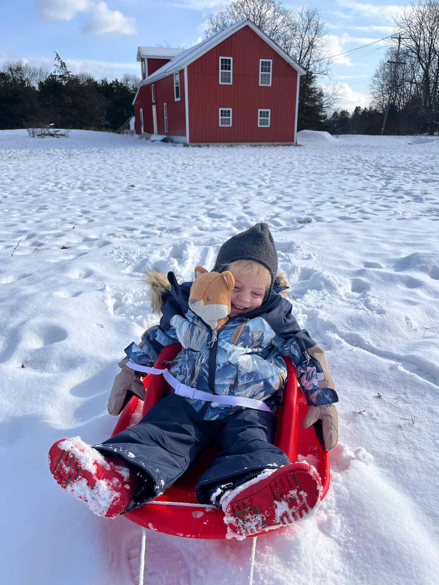 Winter chores are a lot more fun when our Tiny Treehorn is along for the ride.
#sledding
#snowday
#sledding
#winter
#upstate
#farm
#flowerfarm