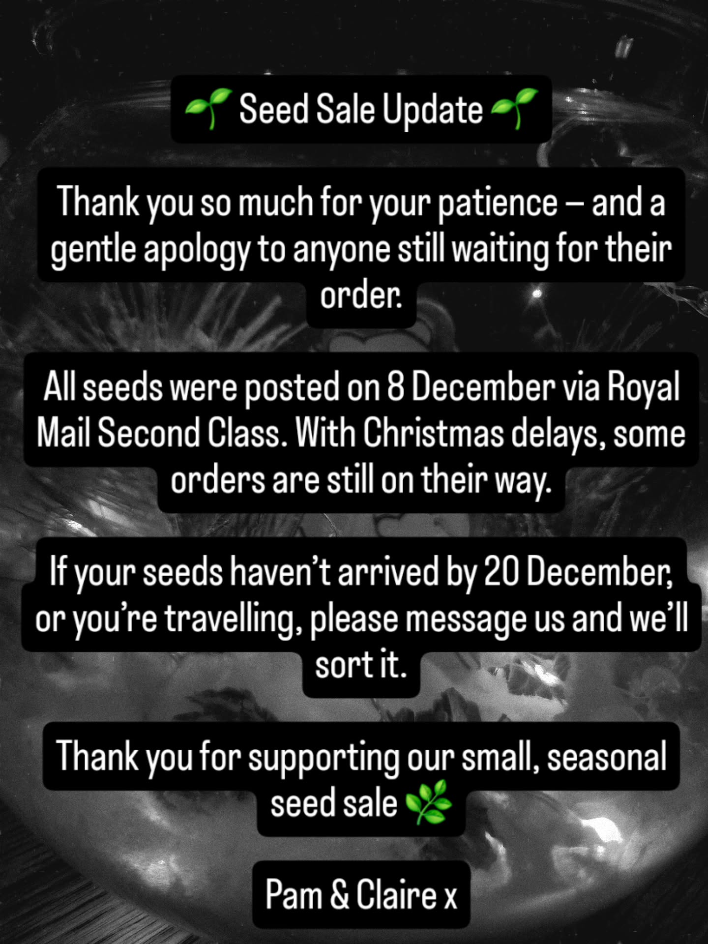 All orders were posted on 8 December via Royal Mail Second Class. To keep seeds safer during this busy season, we upgraded to extra padded packaging.
We kept opening instagram and wondering where all the "happy mail" posts were hiding... We hadnât realised that Second Class deliveries now run every other day (excluding weekends), and with the Christmas rush this has caused more delays than expected
Weâre really hoping a lot of seeds arrive on doormats this Monday đ€đ±
If your order hasnât arrived by 20 December, or youâre away from home, please send us a message and weâll happily help.
Thank you so much for your patience and for supporting our small, seasonal seed sale â it truly means the world.
Pam & Claire xx