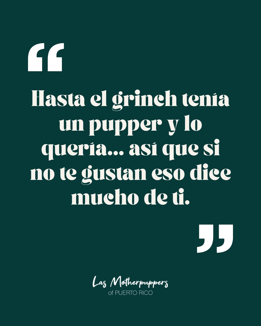 Si hasta el Grinch tenía un pupper y lo quería…ponle regalos a tu perro debajo del árbol. 🎁🐶
No es opcional. ¡Es navidad!
🛒 Para las dog moms consigue regalo aquí: www.dogmomsofpr.com
#LasMotherpuppers #DogMomGift #NavidadDogMom #OversizedTees #DogMomStyle #RegaloPerfecto