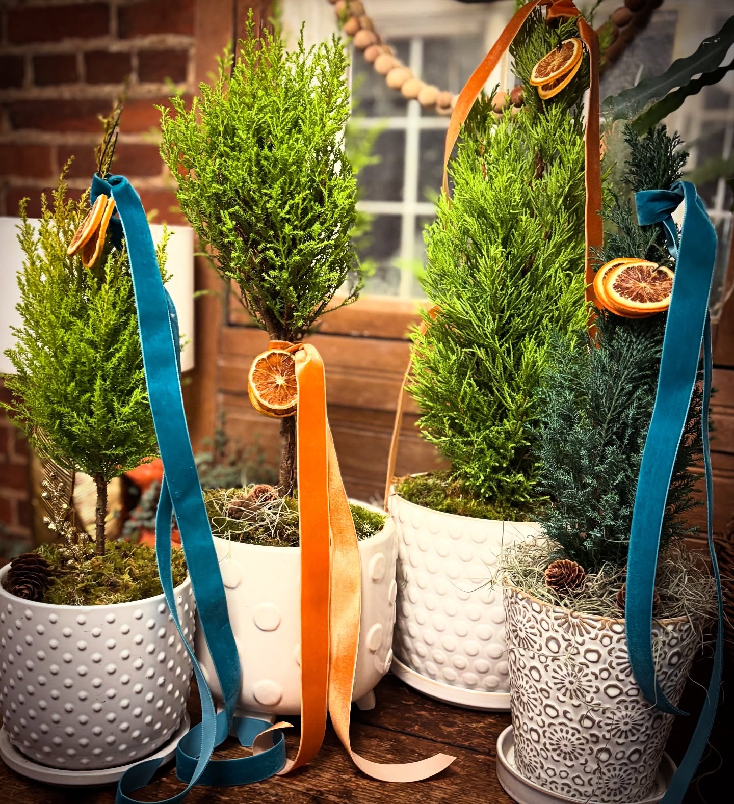 Citrus is Winter bliss! Nothing brightens a mid-Winter gray day like a vibrant and fragrant Lemon Cypress.
Preorder trees or topiaries for pick up.
We pot them up pretty for gifting.
Message me directly, to order-