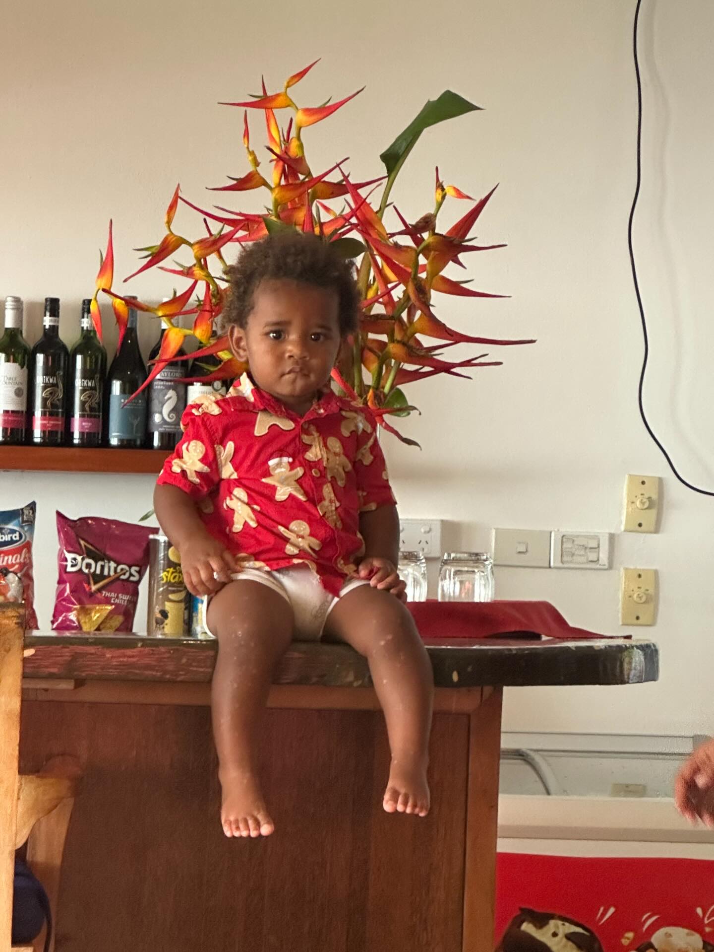 Is it just me or is anyone else Elf On The Shelf not performing this year!
He doesn’t realize yet but his contract is due for renegotiation Dec 31st so he better start doing something!
#christmas #elfontheshelfideas #matanivusi