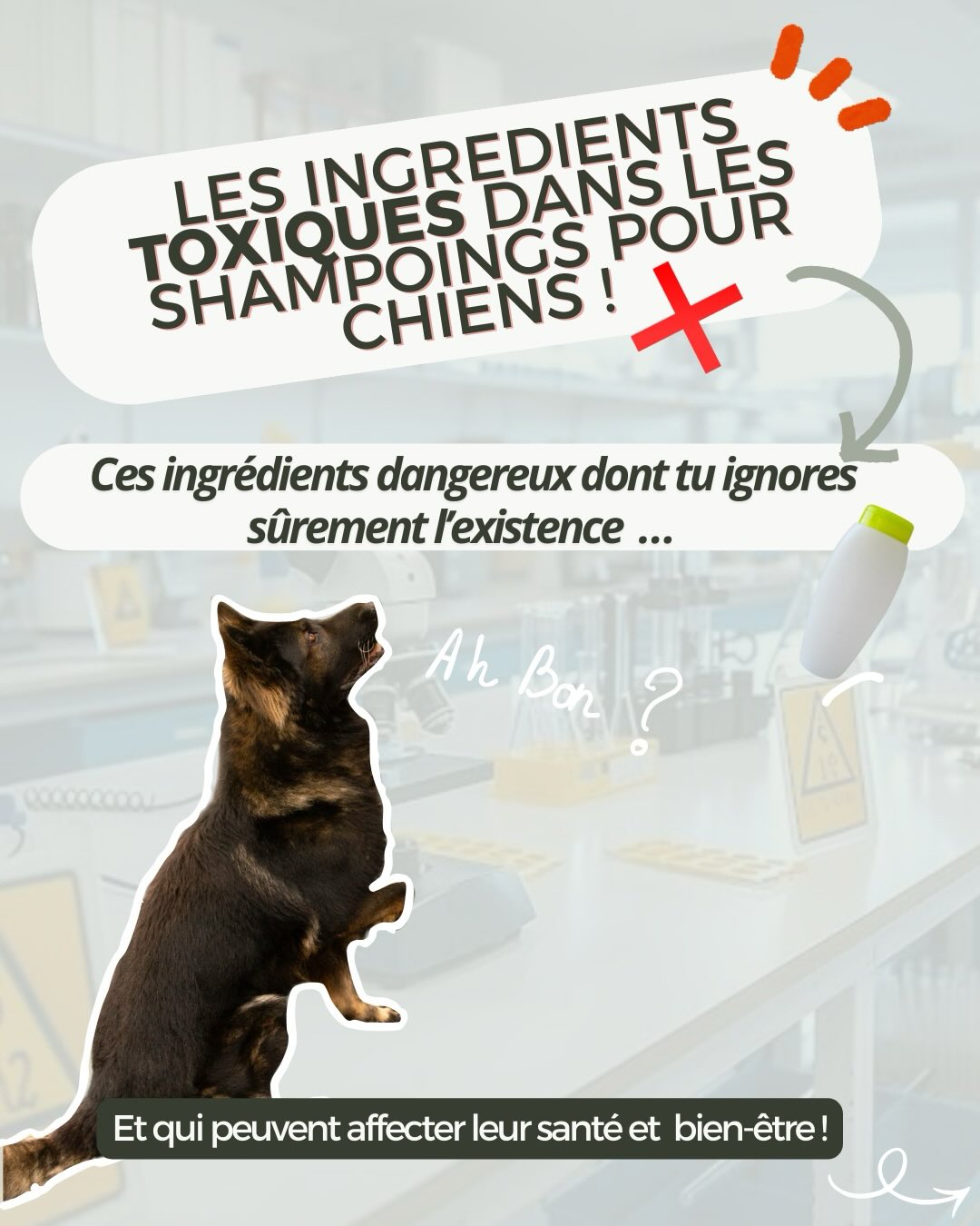 LES INGRÉDIENTS TOXIQUES DANS LES SHAMPOINGS POUR CHIENS ❌
Par rapport à nous, le chiens ont une peau bien plus fine et sensible, ce qui les rends encore plus vulnérables à certains ingrédients dans les shampoings conventionnels !
Voici une liste non-exhaustive des ingrédients à absolument éviter si tu tiens à la santé de ton compagnon !
Et toi, le savais-tu ? Dis le nous en commentaire !👇
#pet#petcare#petlovers