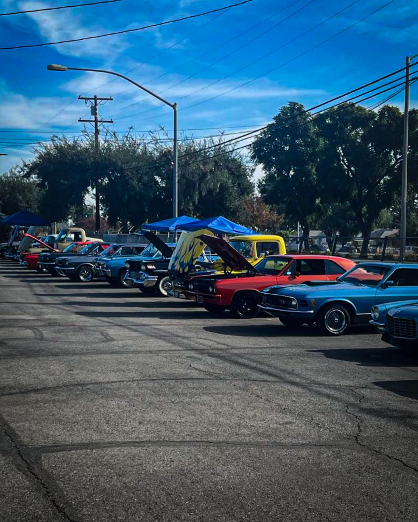 Can’t miss Marty’s beautiful yellow with blue flames Fat Fender!
Representing the @pickupslimitedpv at the @mtzioncrm Angel Tree and Classic Car show.
#f100 #f100syndicate #f100mob #f100custom #fordf100 #fomoco
48-50: #bonusbuilt #bonusbuiltford
51-52: #f100sharknose
53-56 #fatfender #fatfenderford
57-60 #f100fridge
61-66 #slicksixties #f100slick
62-66 #wrongbed
67-72 #Bumpside #bumpsidenation #bumpsideford
73-79 #dentside #dentsideford #dentside7379 #dentsidenation
80-83 #bullnose #bullnoseford
@pickupslimitedpv @pickipslimited @pul.oc @pickupslimitedsd
@hotf100