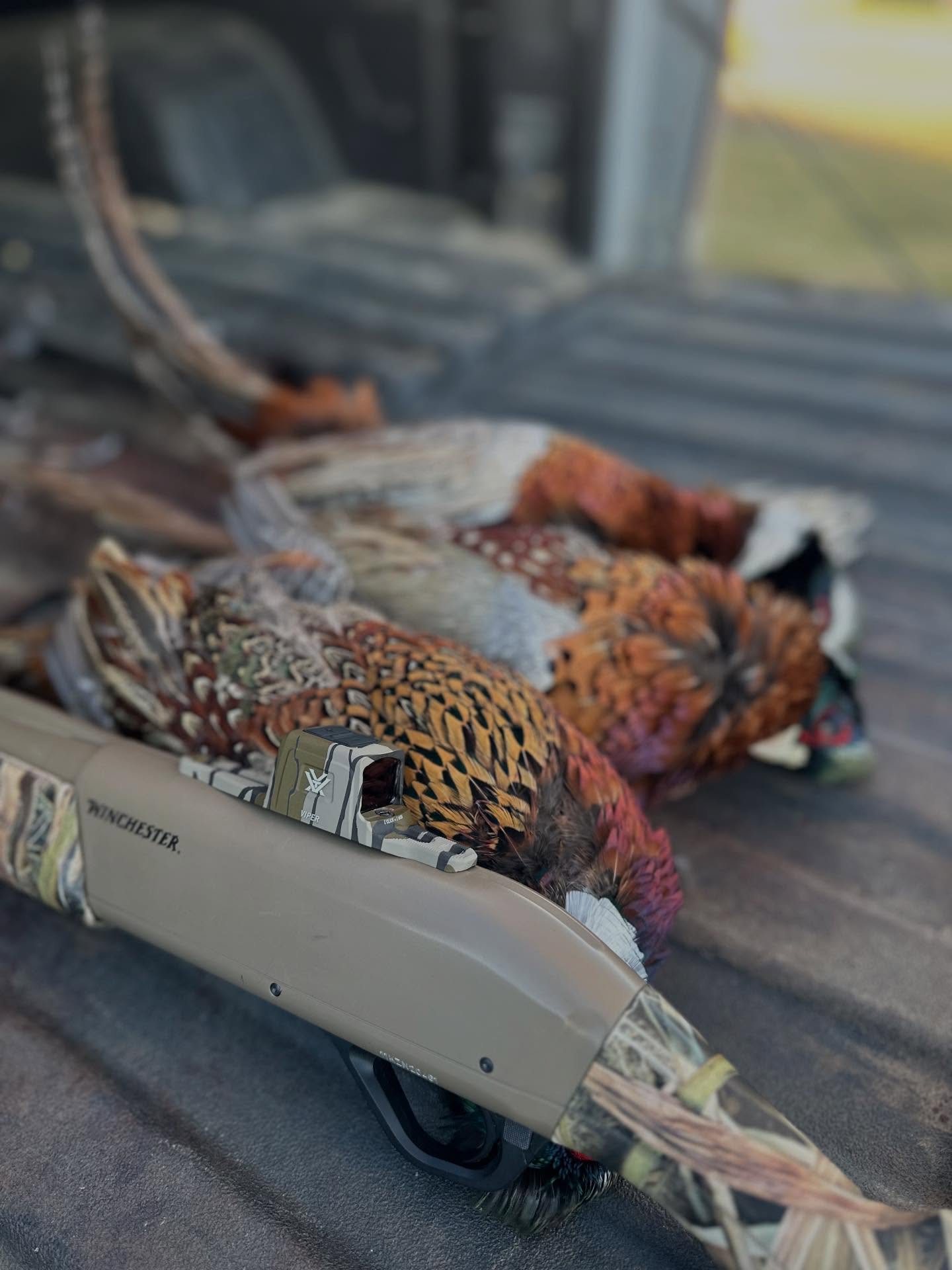 What a day 🤘🏻🤘🏻