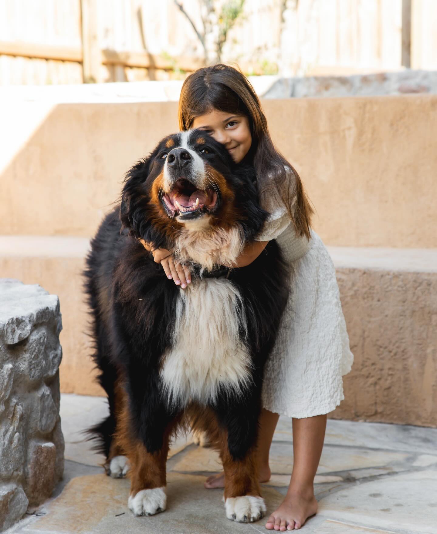 We love creating spaces for families visiting Noosa 🥰
Kids, dogs, adults-only escapes ….everyone’s welcome!
Thoughtfully curated homes designed for comfort, connection, and happy holiday memories ✨🐾🌴#noosa