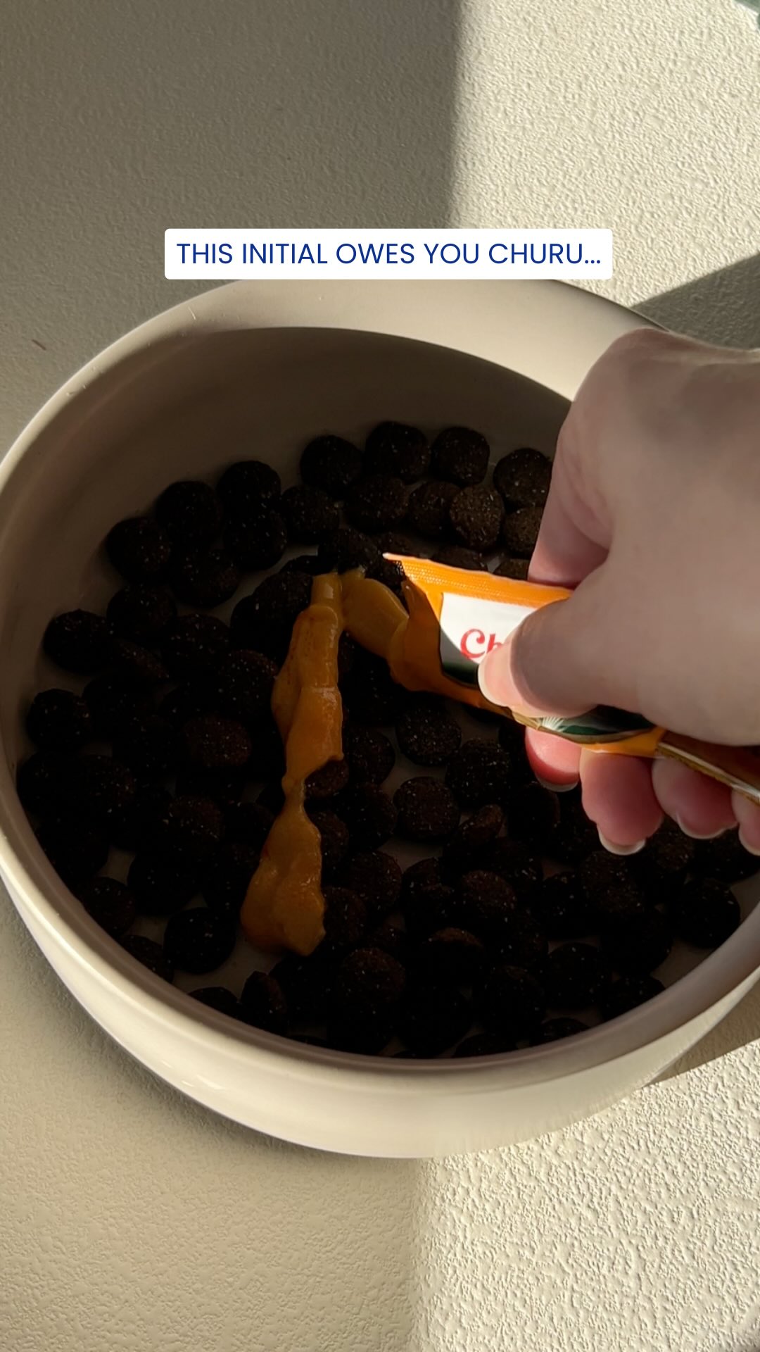 This initial owes you a Treat đđ¶
Made with Churu purée, obviously.
#Churu #InabaChuru #DogTreatTime #PetParentLife