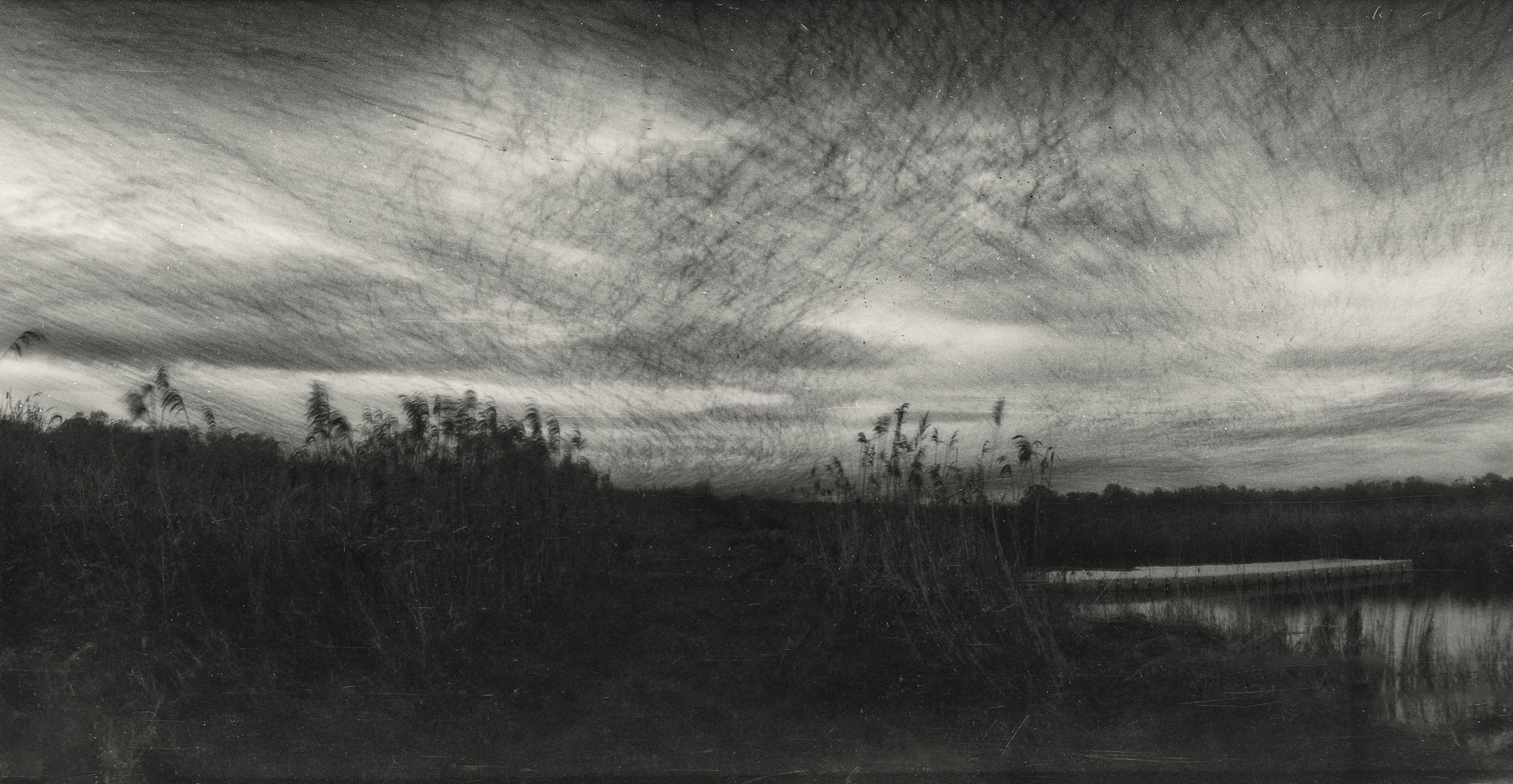 Its challenging to capture the morning starling lift-off at @RSPB #hamwall With low light pre-sun-rise that is changing quickly. My panoramic shot came out best. I gave the plate camera too long an exposure to capture the movement of the starlings clearly - even though it was correctly exposed at f8 and ISO100 for the light conditions. I need to adapt a lens board to fit my F4.5 Rodenstock lens to my Thornton Pickard plate camera - and try again