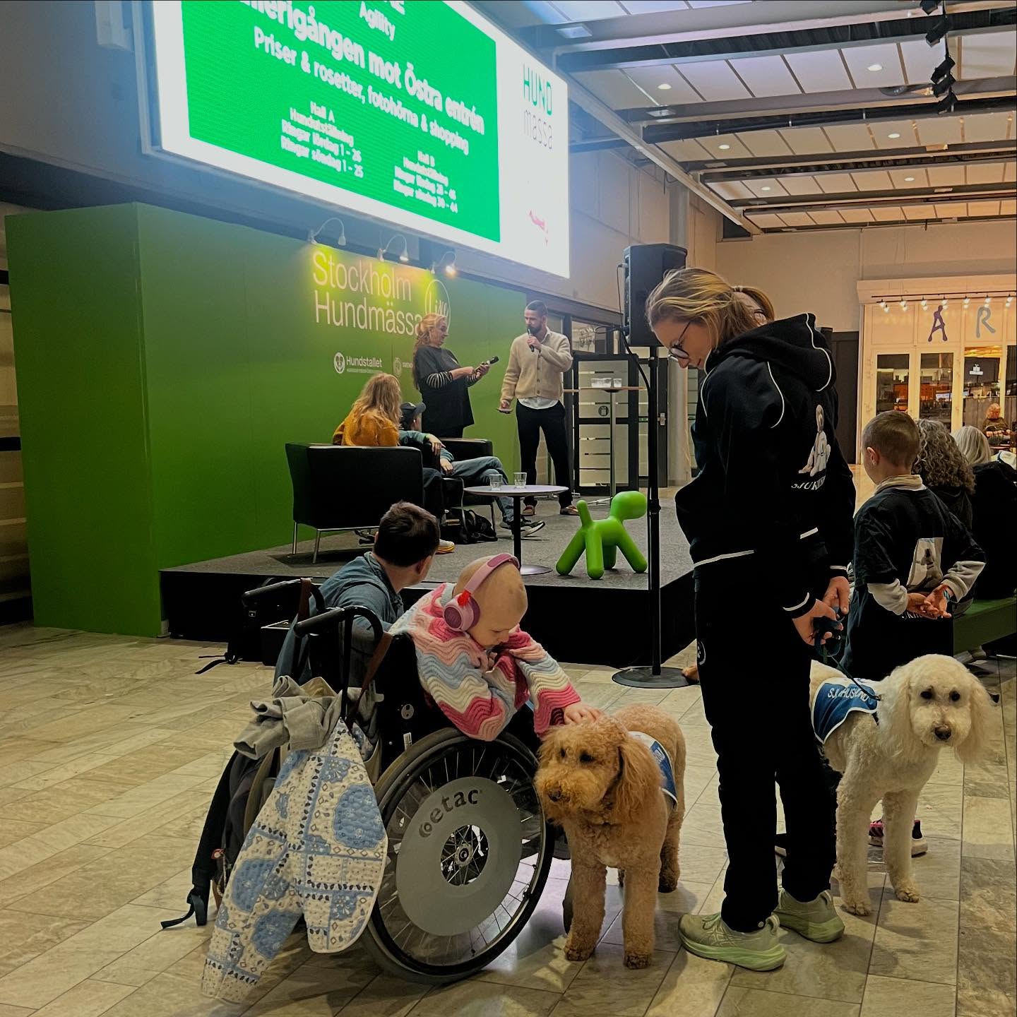 Clara & Sjukhushundarna ni är magiska! Vilken dag på Hundmässan💕🌟🐕 #clara #sjukhushund #barnens #skk #hundmässan @annaportnerstenbeck
