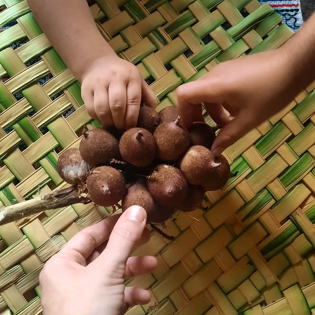 Huicungo sur Tebon tressé