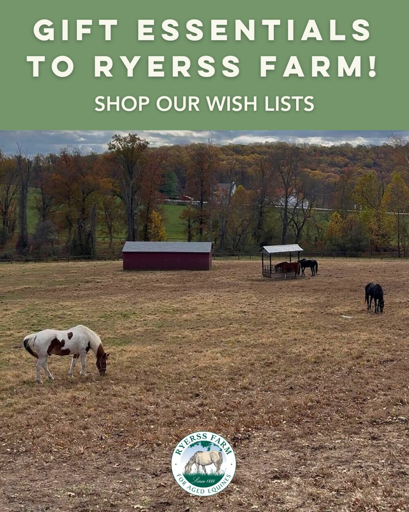 Gift essentials to Ryerss Farm this holiday season! ๐๐ Explore our Amazon and Chewy Wish Lists to see what we need most to keep the farm running and care for our cherished residents. A heartfelt thank you to all the generous individuals and corporations who have donated so far! Wish List links in bio.
