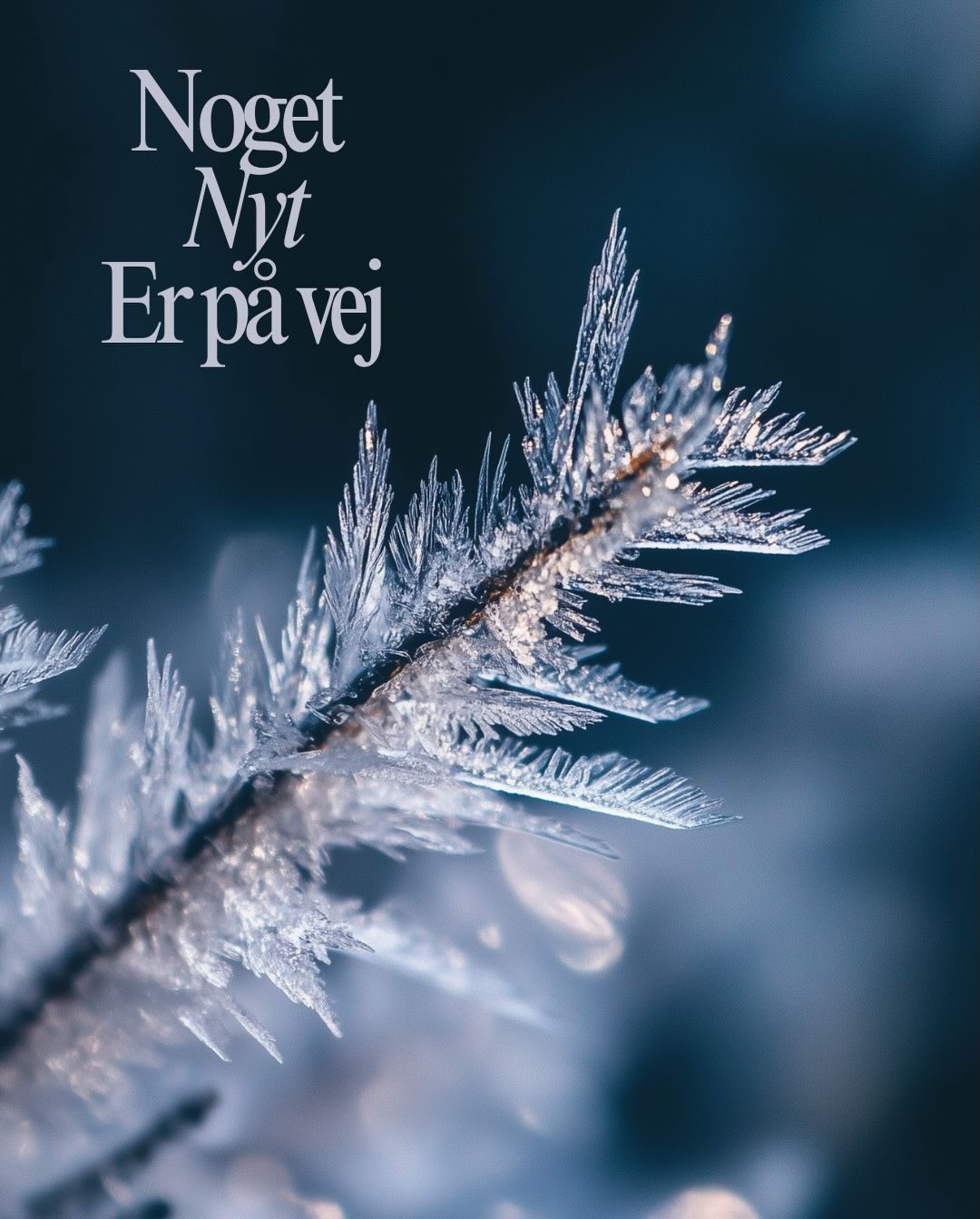 .
.
.
Retter kommaer på repeat.
Det går nogenlunde.
Det føles som en lang dags rejse mod nat.
Eller… måske omvendt?
En lang nats rejse mod dag.
Omslaget er landet. Det er blåt.
Den slags blå, man enten kan svømme i eller gå under i.
Og det passer meget godt til titlen: 𝚏𝚊𝚛𝚜 𝚋𝚕å ø𝚓𝚗𝚎.
Nogen har tænkt over det.
Jeg nikkede godkendende.
Konsulentudtalelse:
“𝙷𝚒𝚜𝚝𝚘𝚛𝚒𝚎𝚗 𝚘𝚖 𝚂𝚟𝚎𝚗𝚍 𝚖𝚎𝚍 𝚍𝚎 𝚋𝚕å ø𝚓𝚗𝚎 𝚘𝚐 𝚜ø𝚗𝚗𝚎𝚗 𝚃𝚑𝚎𝚘 𝚎𝚛 𝚖𝚎𝚜𝚝𝚎𝚛𝚕𝚒𝚐𝚝 𝚏𝚘𝚛𝚝𝚊𝚕𝚝 𝚒 𝚎𝚝 𝚜𝚝𝚒𝚕𝚕𝚎, 𝚞𝚗𝚍𝚎𝚛𝚜𝚙𝚒𝚕𝚕𝚎𝚝 𝚘𝚐 𝚏𝚘𝚛𝚝𝚛𝚒𝚗𝚕𝚒𝚐𝚝 𝚜𝚙𝚛𝚘𝚐.”
Udkommer på Attika i det nye år.
Hvis du vil med ind i det blå – så hæng på. 💙