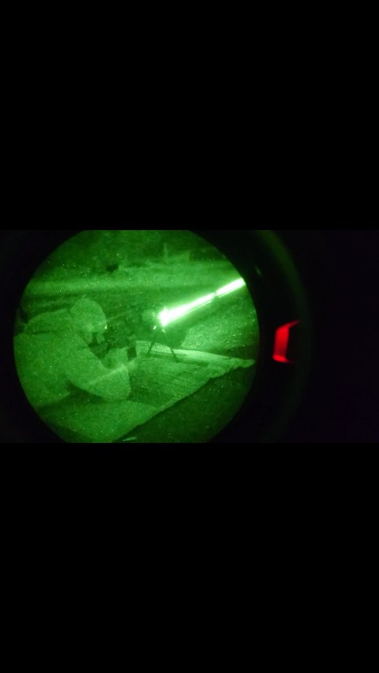 Getting in some Low-Light Reps🐍🌲🦄🎄