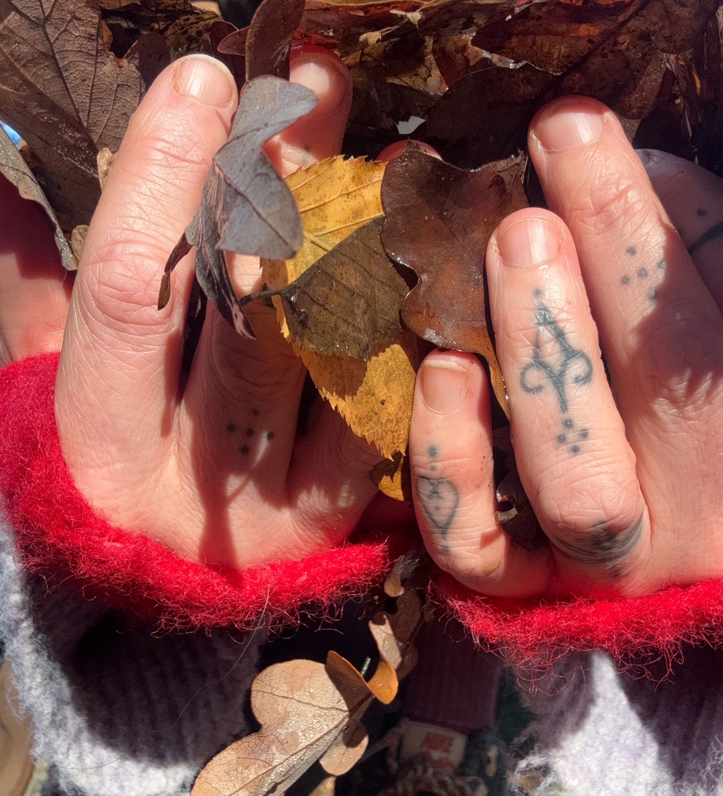 Before I winter, a few notes from autumn.
It wasn’t a gentle season.
It left me bare, and it was exactly what I needed.
This autumn stripped away every outdated coping mechanism and protective pattern I was still holding onto.
It was the shedding the year of the snake asked of me.
And honestly… it was brutal.
From navigating new lows with my children’s dad, & being investigated for cancer reoccurrence, to happily starting a year long breathwork mastery, and entering into a maturation process…
I was given opportunities to look at old wounds from new angles.
Forced to see the ones that needed attention.
To check myself.
To notice where I was out of alignment,
where my inner and outer worlds didn’t match.
I found the magic in letting go, letting things fall
without control, not out of control.
I walked into a completely unknown way of being.
It’s been an undoing I didn’t know I needed.
Uncomfortable & Necessary.
But nothing is ever just one thing.
Within all this shedding, unlearning, and leaning into discomfort, there has also been so much joy, comfort, and gentleness.
Maybe even because of the discomfort.
I’ve been reminded to look for the glimmers in the everyday. They don’t undo what’s hard, but they carry you through it if you let them.
They’re the life raft.
So here are my glimmers from this autumn:
1. Colourful gloves and autumn leaves
2. A date with my littlest to see My Neighbour Totoro, pure magic
3. Working from my shed at the bottom of the garden, held by guardian trees
4. Light and smoke
5. Energy work
6. New moon breathwork in the cosy womb that is Mica Studio
7. Light and shadows
8. Gentle reminders to root
9. A heart full at Oru after many sold-out classes and workshops
10. Cacao and comforts
11. Singing by the fire with my firstborn
12. Holding workshops in truly beautiful spaces
13. Bike rides through Brixton
14. A soggy dog
15. An unexpected and very real joy for matching pyjamas, a side of me I never thought id see.
16. Sitting at my altar and listening
Autumn has stripped me back.
And somehow, I feel more myself than ever.
Now…
I’m ready to winter.
How are you entering winter?
#wintering #slowdown #healingjourney