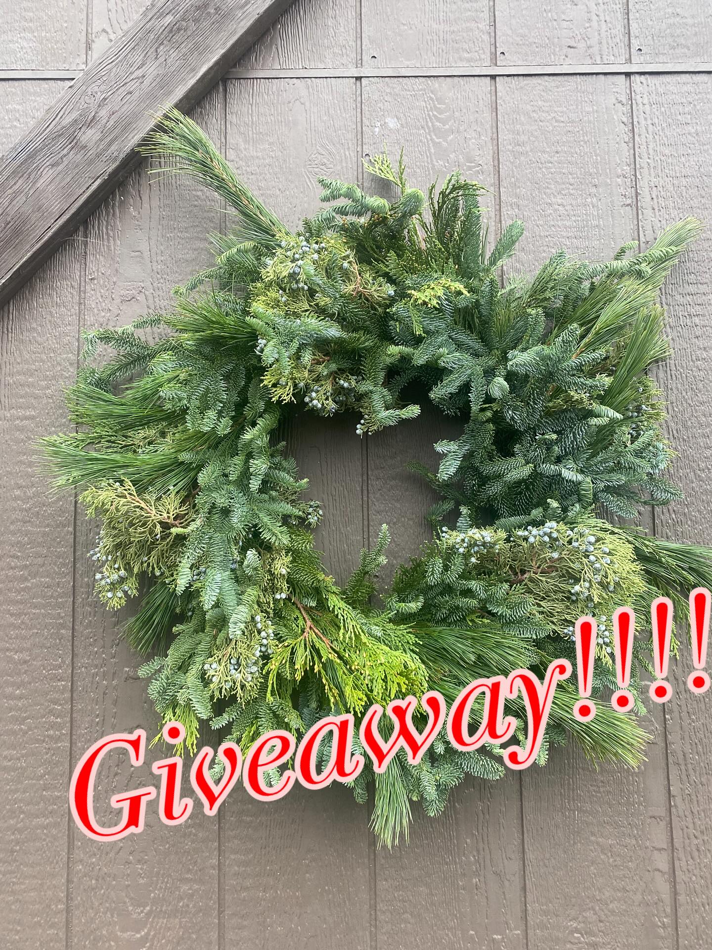 Who still needs a beautiful wreath?? It’s Giveaway Time!! Just like this post and tag someone who may also need a wreath. Winner will be picked randomly on Saturday afternoon, Dec 20th. Thank you to everyone who joined us this season for this fun tradition. Winner gets to pick accents. #giveaway #traditions #naturalbeauty #shesawildone
