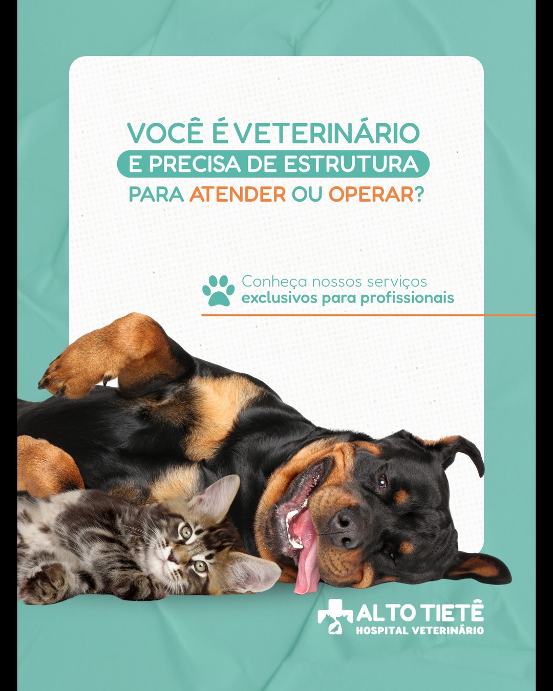 🩺 Veterinário(a), precisa de estrutura para atuar com segurança?
Aqui no Hospital Veterinário Alto Tietê, você pode:
✔️ Alugar nosso centro cirúrgico completo
✔️ Utilizar nosso serviço de esterilização de materiais
✔️ Contar com biossegurança, praticidade e atendimento humanizado
Inclusive, já recebemos elogios de colegas que operam em diferentes locais e usam nossa autoclave para manter tudo pronto com segurança ✅
📲 Mais informações e agendamentos via WhatsApp!
📍 Estamos em Arujá – SP.
#HospitalVeterinário #VeterinárioEmpreendedor #EsterilizaçãoDeMateriais #CentroCirúrgico #VeterináriaComExcelência #VeterináriaSP #VeterináriaArujá