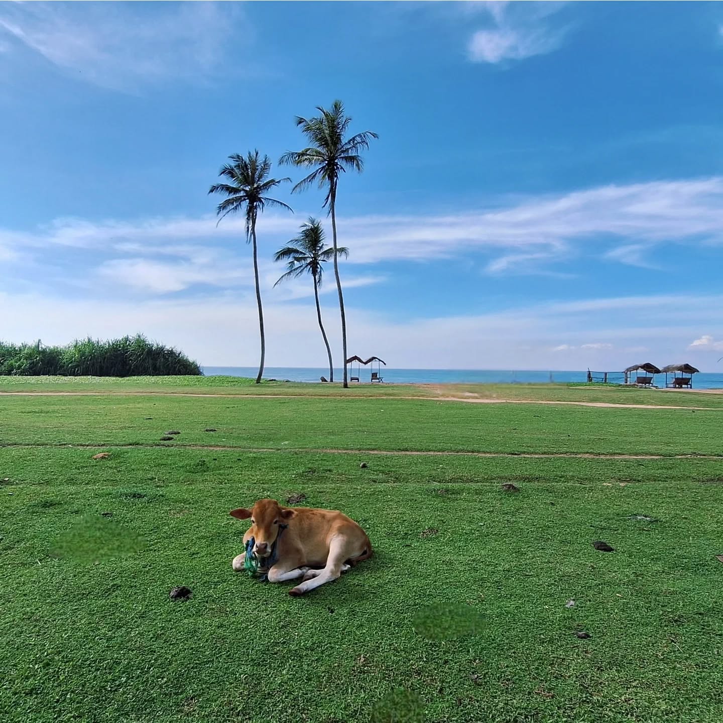 While winter storms roll through Europe, life here moves at a gentler pace. Mornings start with sunshine & the ocean is always just a few steps away.
If you've been dreaming of surf sessions at your doorstep, quiet family moments, or simply waking up to warm air & open skies - this is your sign.
If winter feels heavy where you are, follow the light.
We'll save you a sunny spot.
#lionsrestlife #lionsrest #gurubebila