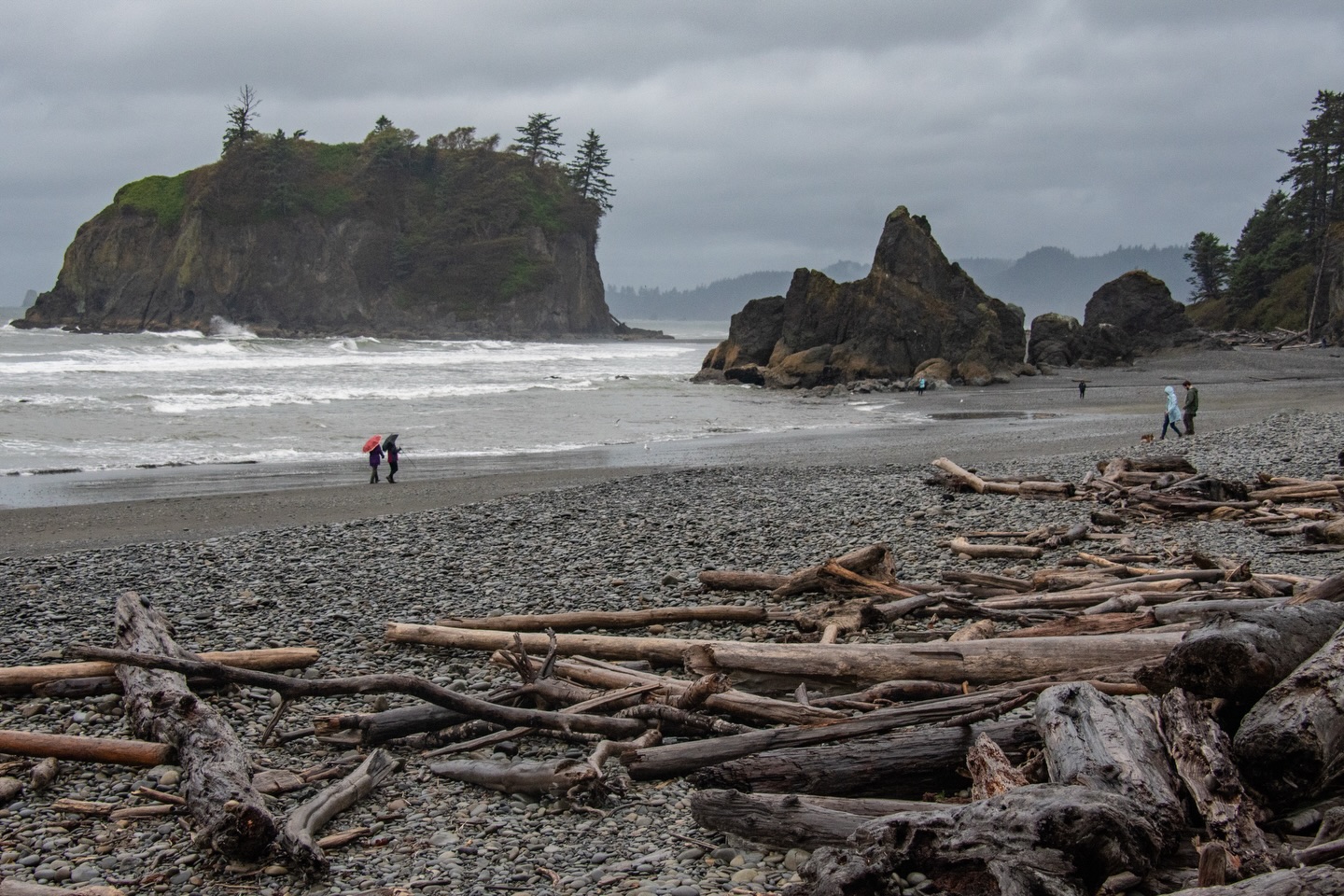 Winter on the Washington Coast is stunning and there is so much exploration to do around the Seabrook area.
One place we love to visit is Ruby Beach! Along the way you can stop by and visit the Tree of Life located at Kalaloch Beach 4, along Highway 101, roughly 20 minutes north of Ruby Beach
Distance To Ruby Beach: About 55–60 miles
Drive time: roughly 1 hour 45 minutes to 2 hours, depending on weather, traffic, and how often you pull over to stare at trees like they’re famous.
Typical route:
- Seabrook → Highway 109
- Connect to Highway 101 north
- Turn off toward Ruby Beach near Kalaloch
It’s a classic Washington coastal drive featuring forest corridors, bald eagles, misty turns, and a quiet moment when the ocean suddenly appears and resets your brain.
#seabrookwa #rubybeachwa #washingtoncoast