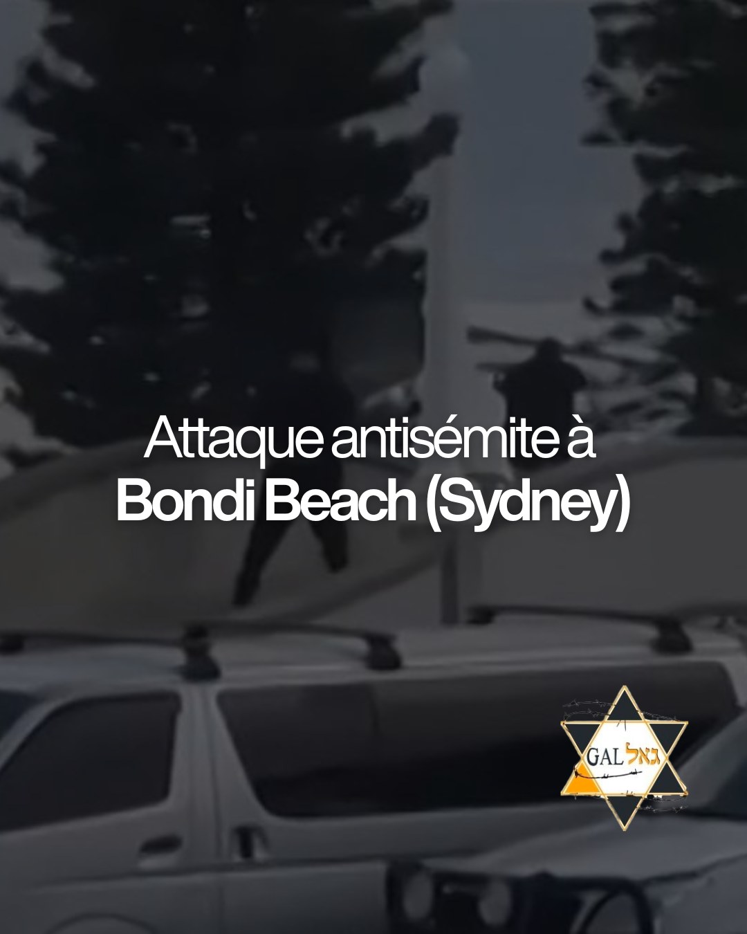 L'Histoire nous a appris à ne jamais éteindre la lumière. 🕎
Une attaque antisémite a visé la communauté juive à Bondi Beach en pleine fête de Hanouka. Pour nous, rescapés de la Shoah et membres de l’Amouta Gal, chaque acte de haine contre un Juif, où qu'il soit dans le monde, résonne douloureusement.
Mais nous savons aussi que la réponse à l'obscurité est de briller plus fort. Nous envoyons toute notre force et notre affection aux victimes et à nos frères et sœurs d'Australie.
Nous restons debouts. Unis et déterminés.
#AmoutaGal #Memoire #Resilience #NeverAgain #Hanouka2025 #Solidarité