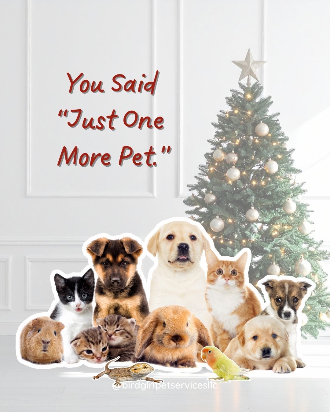 It starts with one.
Then suddenly you’re running a tiny lovable zoo. 😂🎄
Tag your friend who always says “just one more.”