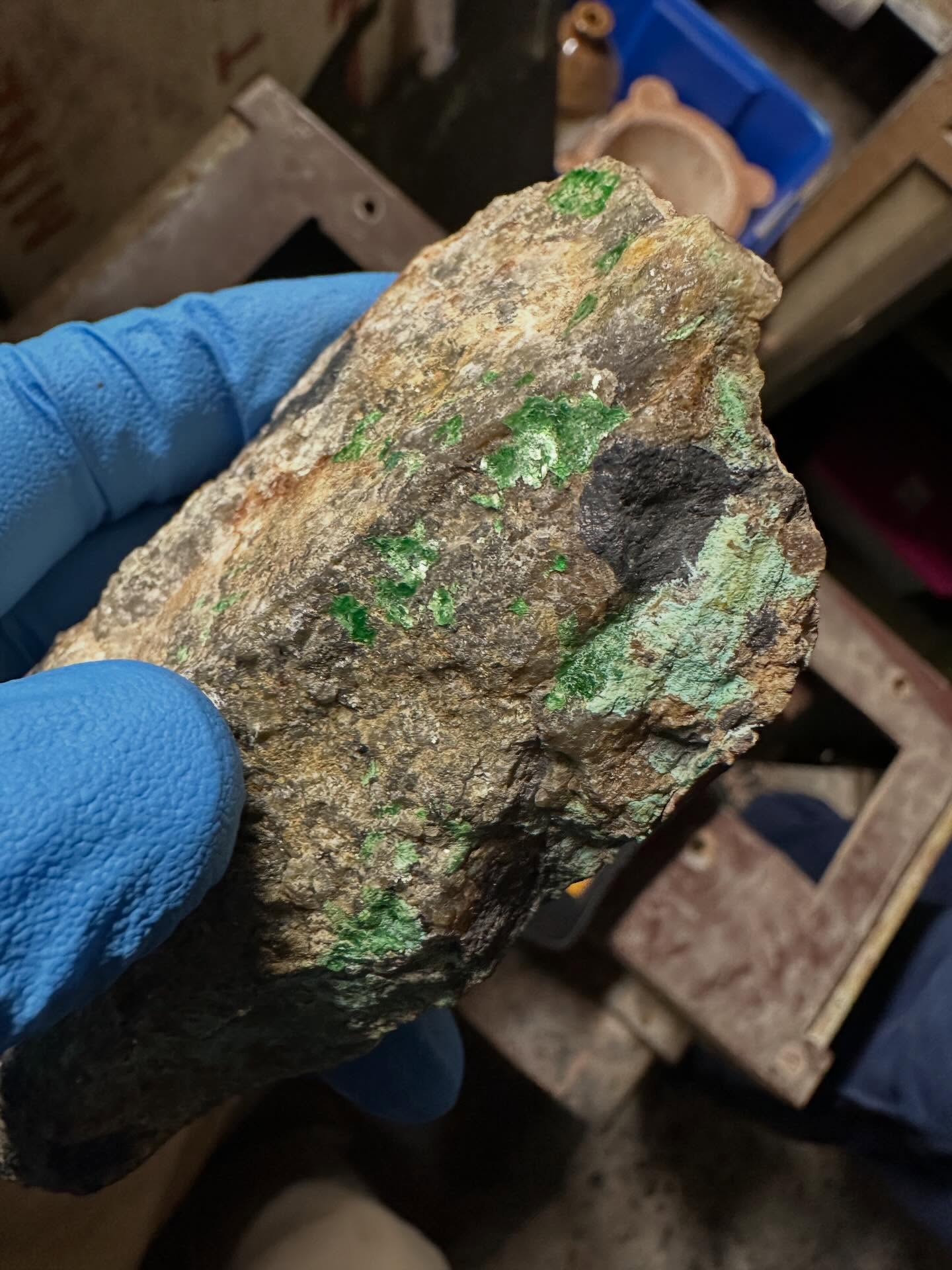 Hot stuff ☢️
Cornwall is famous for metal mining. We all know about tin and copper, but did you know several thousand tonnes of uranium has also been mined?
The principal mineral is called pitchblende or uraninite, a heavy, black, uranium oxide.
There are also secondary uranium minerals such as torbernite, autunite, and schröckingerite.
The green mineral here is torbernite, and the rather inconspicuous black rock is pitchblende. As you can tell from the dosimeter, the latter is particularly radioactive!
Famous locations where radioactive minerals have been historically mined include South Terras near St Austell, Wheal Edward near Botallack, and Trenwith in St Ives. The latter is right opposite where I went to school!
Marie Curie reputedly sourced some of her uranium samples from South Terras and Trenwith, from which she first isolated radium.
Most uranium extraction in Cornwall derives from reworking old dumps, where previously extracted material had gone to waste. Thankfully, this means there isn’t much left in the dumps.
This mining method has been common in Cornwall even to the present day, as advancing technologies see products previously considered waste become economically important.
Uranium minerals occur in veins, most likely late-stage epithermal mineralisation. Several stages of hydrothermal circulation has concentrated and reprecipitated uranium from older vein systems or where it occurs in the granites or sedimentary rocks.
It goes without saying that it is not recommended to collect and store these minerals. Whilst limited exposure is okay, keeping them in a shoebox in your office is likely to give you more than your recommended daily limit of radiation.
Whilst not the best things to keep, they’re still very pretty and interesting!
#uranium #pitchblende #radioactive #torbernite #radiation #minerals #hotrocks #stives #stivescornwall #southterrasmine #trenwith #cornwall #cornwallcoast #cornishcoast #walkingcornwall #explorecornwall #lovecornwall #cornwallgeology #cornishgeology #geology #geologyrocks #geolife #geologist #geologistsofinstagram #learninggeology #geoadventure #exploregeology #geologicalwonders #geologylife #geologyfieldtrip