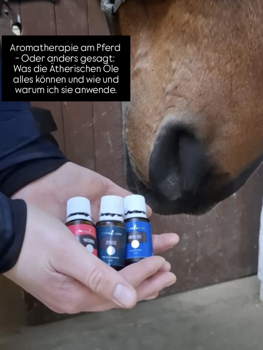 Der ein oder andere mag es schon von mir wissen: Ich nutze besonders in meinen Pferdeosteopathie Behandlungen sehr gern ätherische Öle.
Um das sinnvoll tun zu können, habe ich in diesem Jahr den Pferdearomatologie Practitioner bei Regina Hoffmann Vom „Team Pferdearomatologie“ mitgemacht.
Wenn dich mehr dazu interessiert, kommentiere mit "Blog" und ich schicke dir meinen neuen Blogbeitrag zu diesem Thema kostenlos zu!