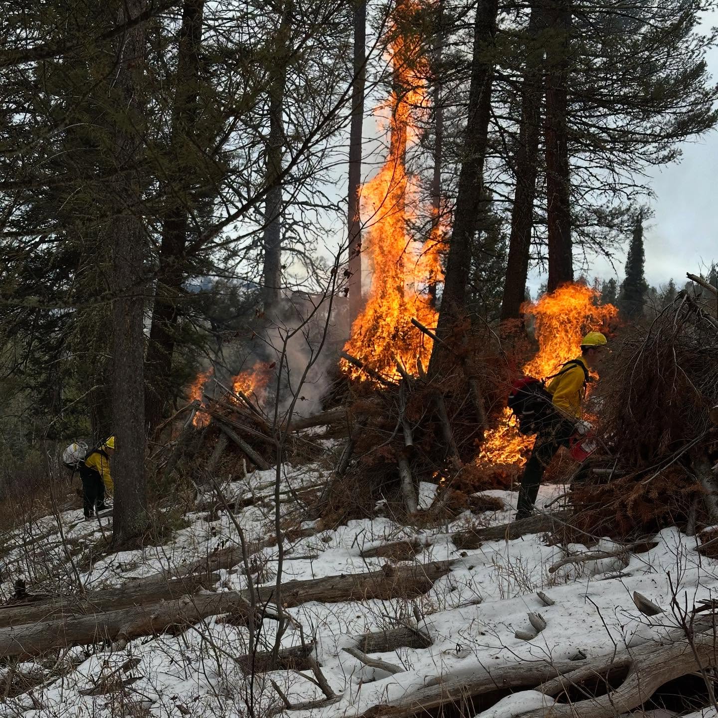 @jh_fire_ems team members Lt Dan Long, Warren Newton, and Nick Lippman were invited to join the BTNF crews on their Taylor Creek pile burns this week.
Pile burns are planned, controlled fires used to remove excess branches and debris after forest thinning. This reduces wildfire risk, improves forest health, and protects our community.
Good work, team! 🔥🌲
#jhfireems #jhfireemsfoundation #pileburn #bridgertetonnationalforest #controlledburn #preventforestfires #tetoncounty