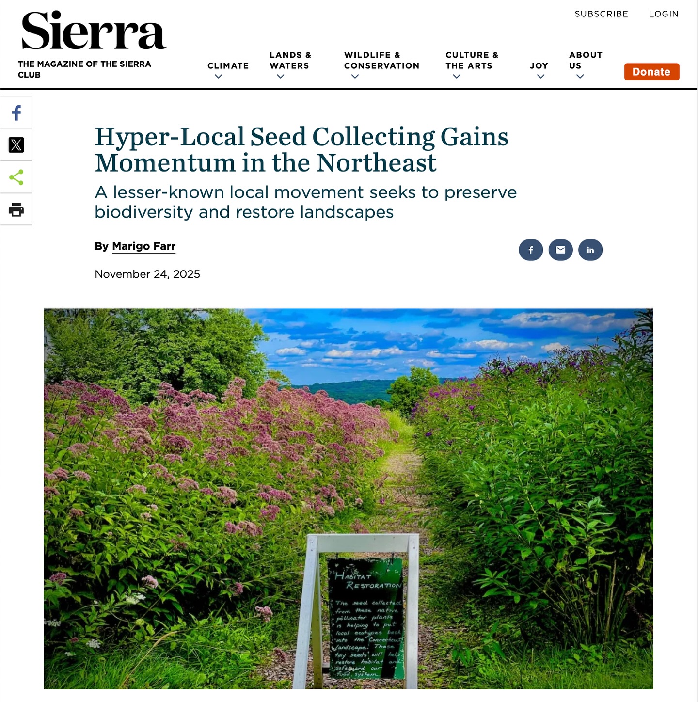 @sierramagazine highlights our partner @wildwoodsrestorationproject and their important work! Preserving biodiversity is critical to the health of our land and all of us who depend on it.
“This year, a team of 50 volunteers grew 30,000 plants in pots from seed collected on a range of participating properties in the Hudson Valley of New York and northern New Jersey. They either gave away or sold the plants for a “nonprofit price” to partners like New York State’s Fahnestock State Park and The Land Conservancy of New Jersey.”