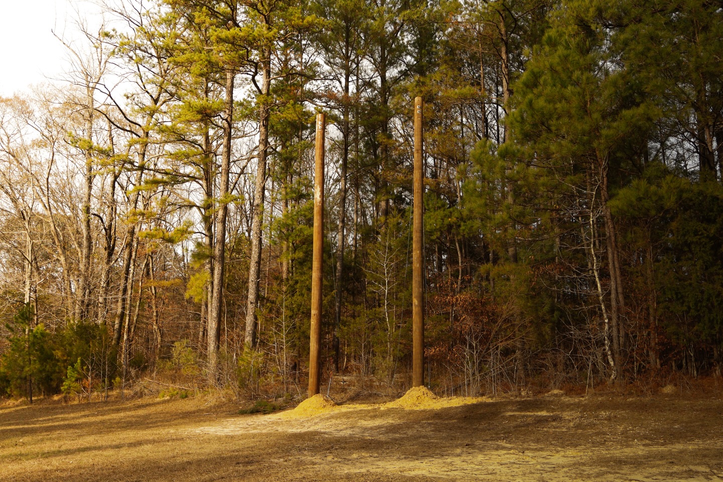 These posts popped up out of nowhere
Any ideas what they’re for?