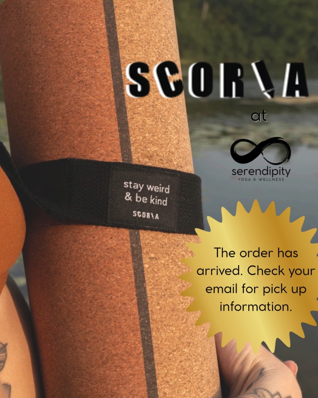 Our Scoria order has arrived, just in time for the holiday season.
If you were part of this order, please check your email for pickup details, including options for collecting your mat in Picton or Bloomfield.
We are excited to get these beautiful mats into your hands and add a little extra joy to your practice this season.
#serendipityyoga
#yogapec
#healthymovementyourway