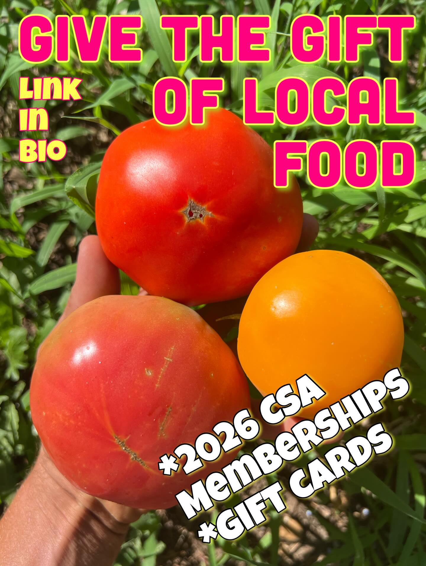 Looking for a last minute gift for a veghead in your life? Well you’re in luck, cuz our upcoming season’s spring CSA sign ups are now live! And we have gift cards! We will be posting all crops to our online store, so anyone who wants something a bit more flexible than aCSA membership can use that and order exactly what they need when they need it!