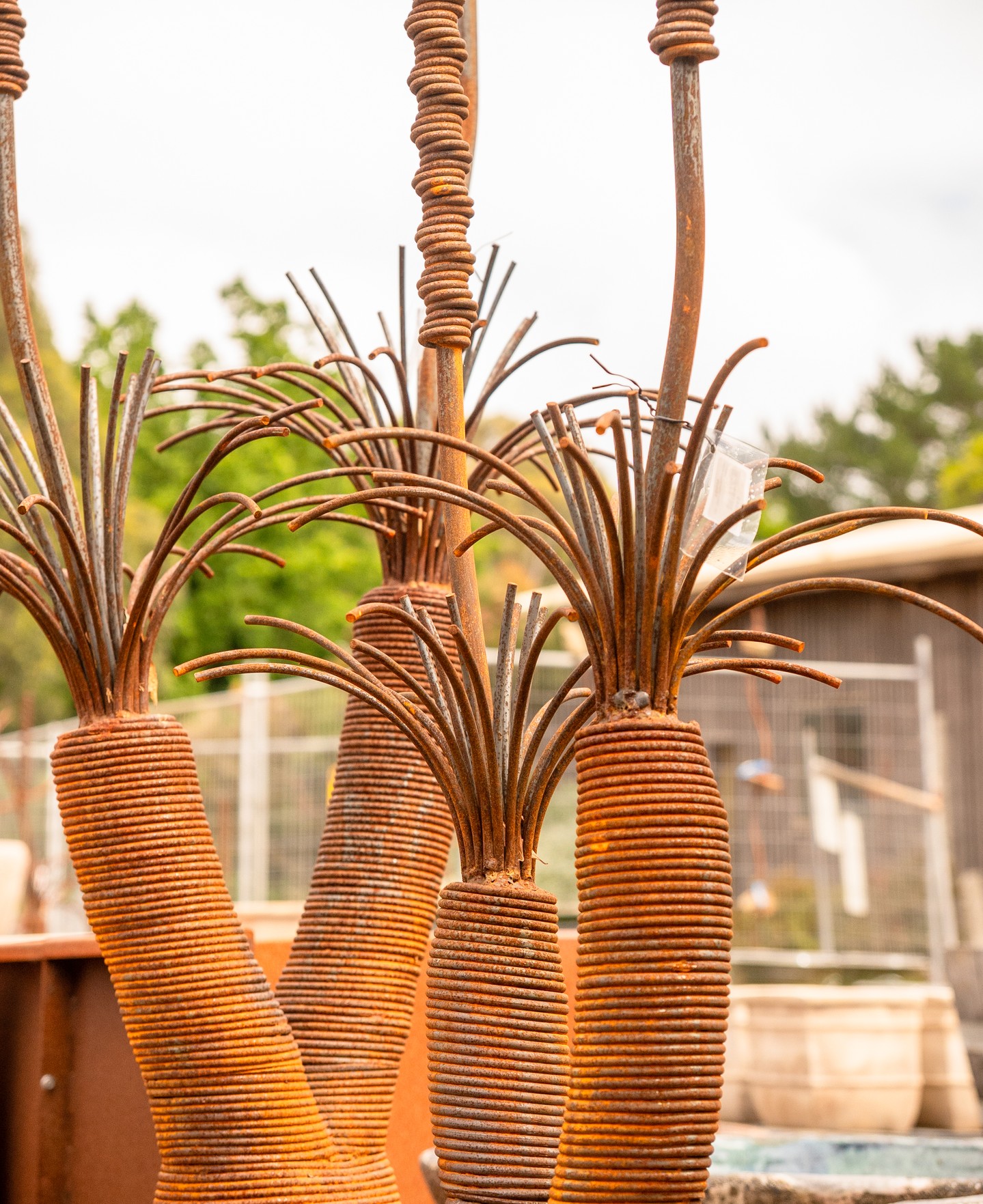 New statement sculptures have arrived - hand-crafted pieces that bring texture and character to any garden.
Built to last and designed to age beautifully, each one makes a striking addition to outdoor spaces.
.
.
.
.
.
.
#macedonnursery #macedongardensupplies #macedonrangesgardens #macedon #macedonranges #mountmacedon #woodend #gisborne #melbournegardens #macedonrangesnaturallycool #visitvictoria #gardensculpture #gardenart #outdoorliving #australiangardening #localgardencentre