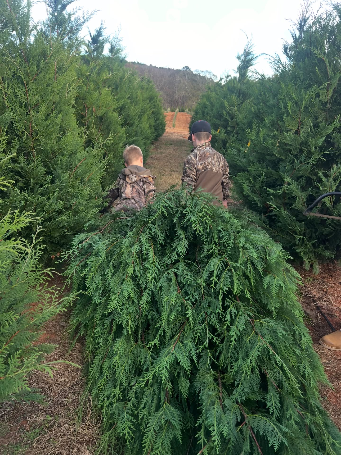 🎄✨ That’s a wrap on the Christmas season at Jack’s Creek Farms! ✨🎄
We are officially CLOSED for the Christmas season and just want to say THANK YOU to everyone who came out and supported our family business. Your love, support, and memories made on the farm mean more to us than you know 🤍
We hope y’all have a very Merry Christmas and a Happy New Year. From our family to yours — thank you for an amazing season! 🎅🎄