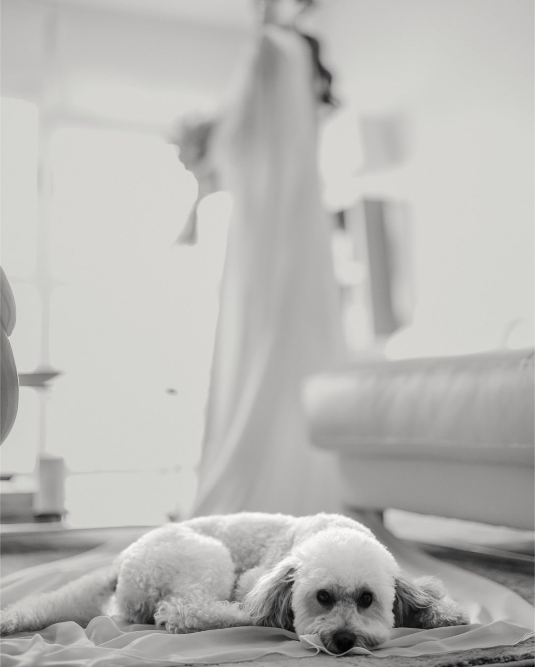 Los preparativos con Victoria 🤍 @heyheyvicky_
____
@francescgamon
@jorgeaparisinovias
@princesasdepalomabarba
@atelierdelaflor
@espailespanses
@plusjoli_fleur
@flordeasoka